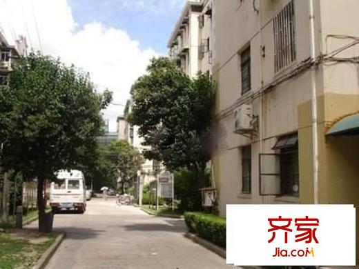 金杨九街坊外景图