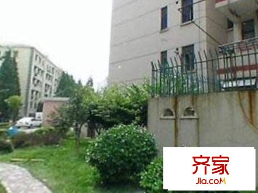 金杨九街坊外景图 上海 金杨新村九街坊
