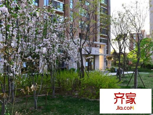 悦廷・mini悦园林2013.05