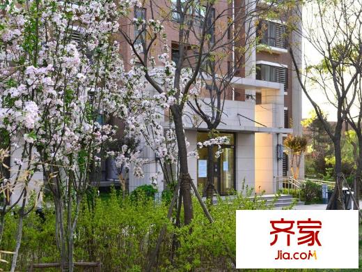 悦廷・mini悦园林2013.05