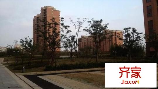 星金家园外景图(未满三年动迁房)