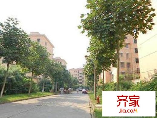 春申五村外景图