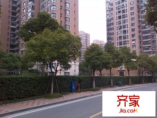 印象春城外景图