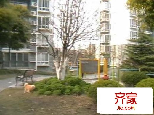 吴淞新城外景图