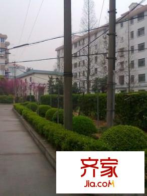 東一小區(qū)外景圖 