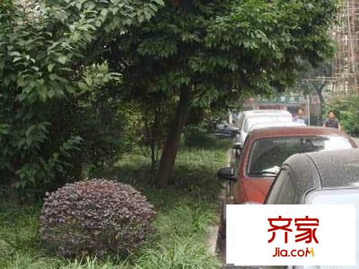 羅山六村外景圖  