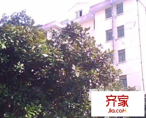 川沙公寓外景圖