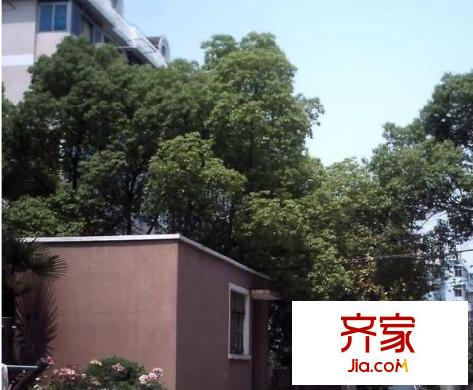 蘭花小區(qū)外景圖