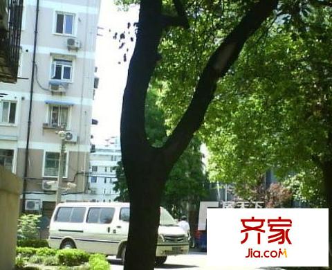 蘭花小區(qū)