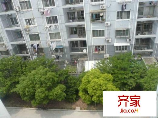 櫻花坊外景圖 