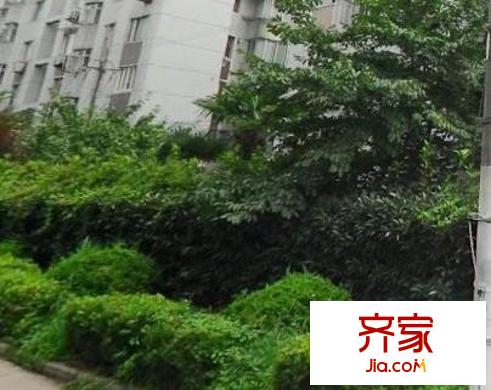 櫻花坊