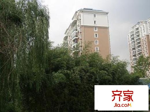 金橋名都外景圖 