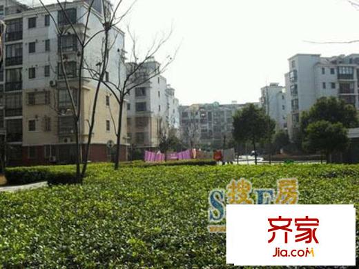 鑫唐佳苑外景圖上海  