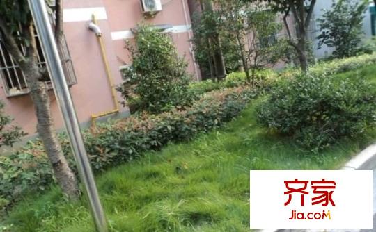 团结花苑外景图