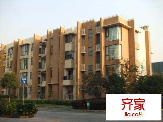 魅力之城外景图