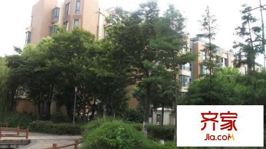 魅力之城外景图