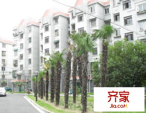 龙柏七村外景图