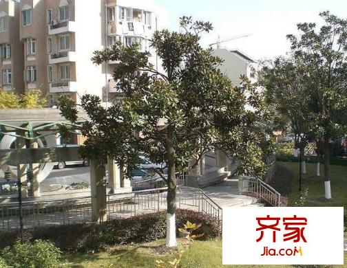 龍昌苑外景圖