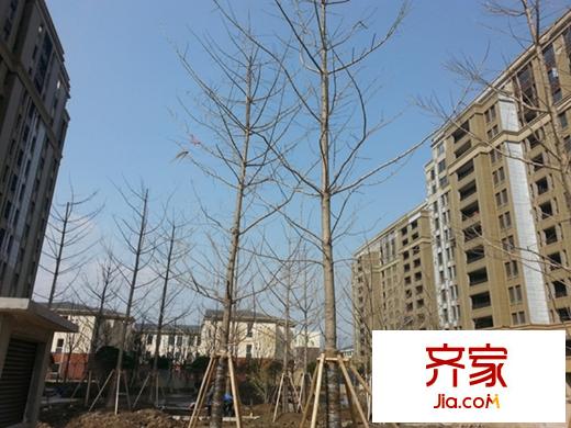 森蘭名佳實(shí)景圖(2014.3)