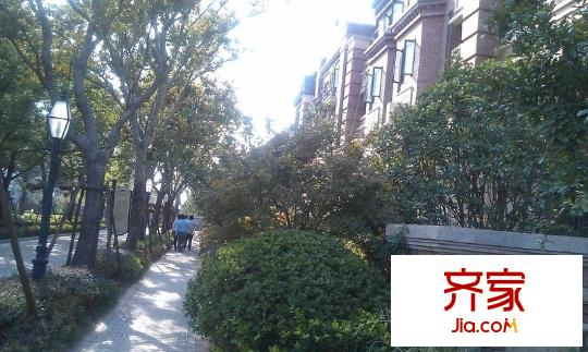 金地藝華年外景圖 