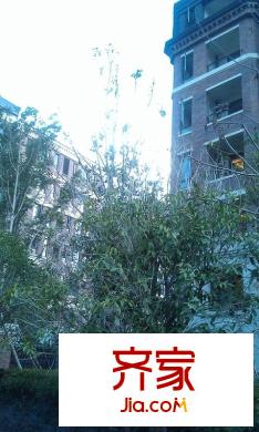 金地藝華年外景圖 