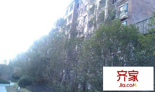 金地藝華年外景圖 