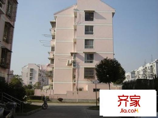 花木鑫豐苑外景圖 上海 鑫豐苑 