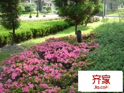 浦東世紀(jì)花園外景圖一期 