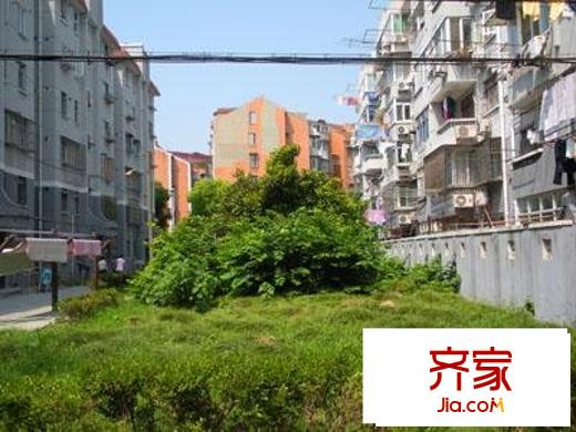 牡丹小區(qū)