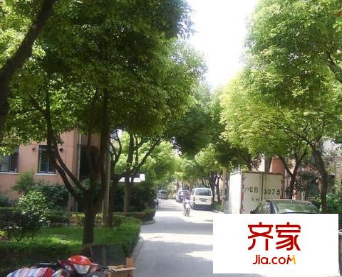 濟(jì)陽(yáng)三村外景圖
