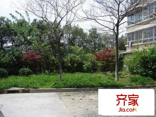 金樟花苑外景圖