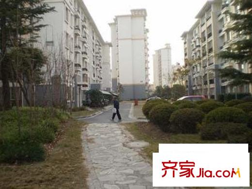 古銀杏苑交通圖上海市外景圖