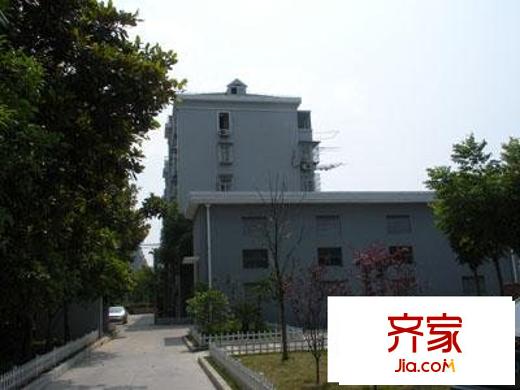 金桂小區(qū)外景圖  