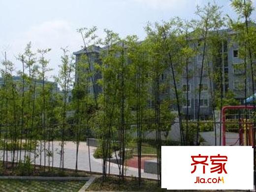 金桂小區(qū)外景圖  