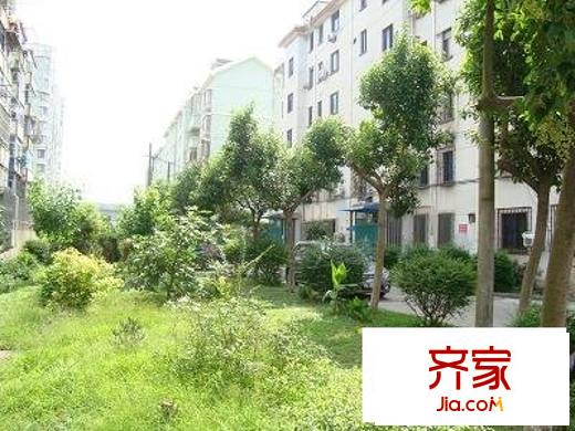 南橋曙光外景圖