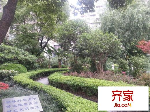 上南花城外景圖 
