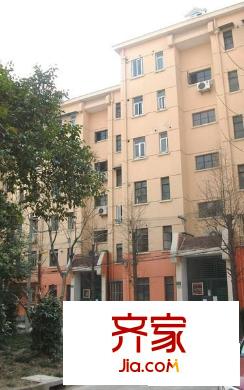 真光八街坊外景图