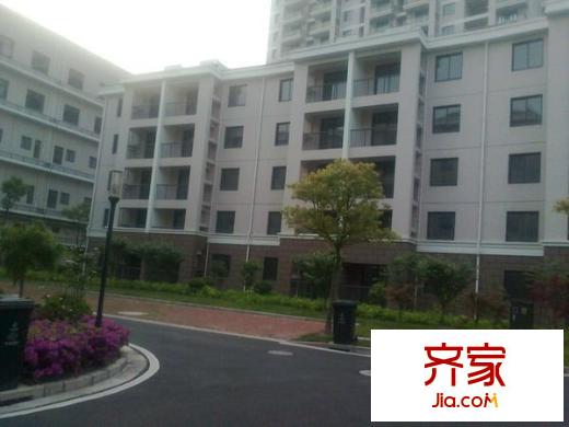 信誠麗都苑外景圖 