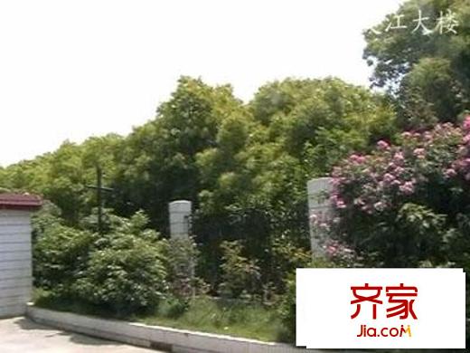 張江交江大樓外景圖