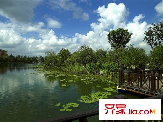 上海星河湾周边-湿地