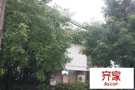 盛世天地（2015.9.15）