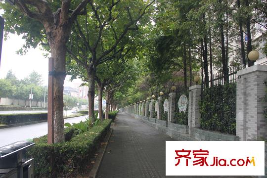 盛世天地周邊配套-三林路