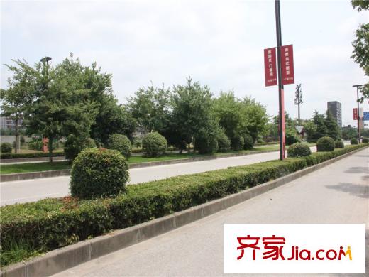 陆家嘴红醍半岛周边-周边道路