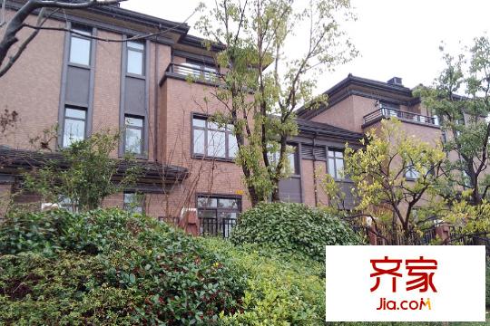 陆家嘴红醍半岛建筑(2015.3)
