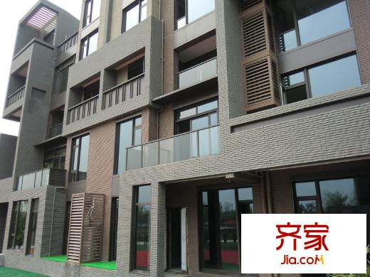 远香湖九号 (2010.8)