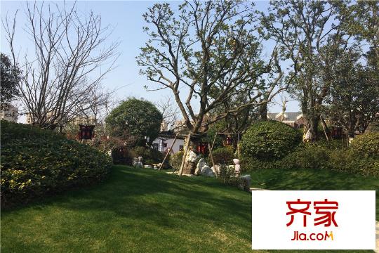 三盛松江颐景园别墅(2015.3)