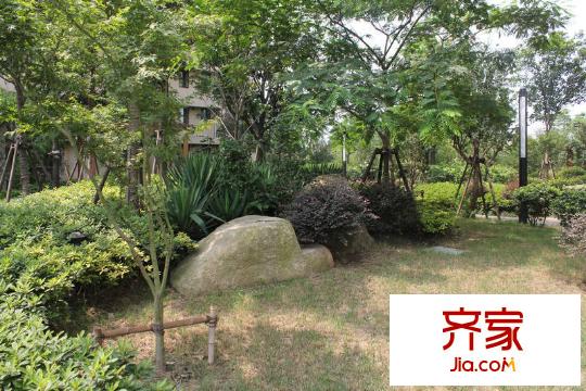 绿洲古猗新苑实景图(2011-07)
