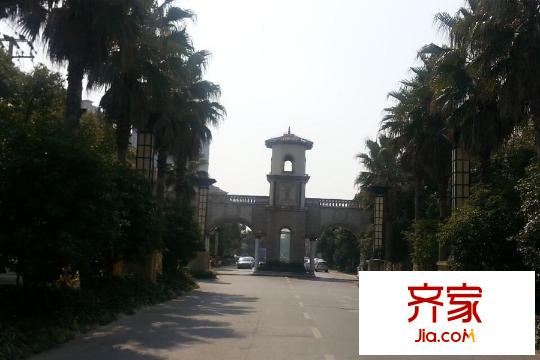 綠洲康城金邸小區(qū)門口馬路