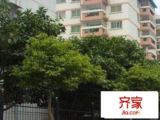 金茂花園外景圖   