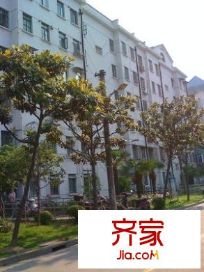 北小區(qū)外景圖 